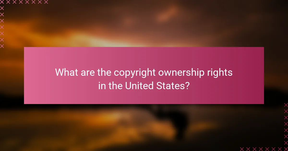 What are the copyright ownership rights in the United States?